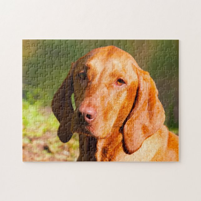 Ungarisch Vizla Dog Jigsaws. (Horizontal)