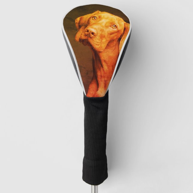 Ungarisch Vizsla Golf Headcover (Vorderseite)
