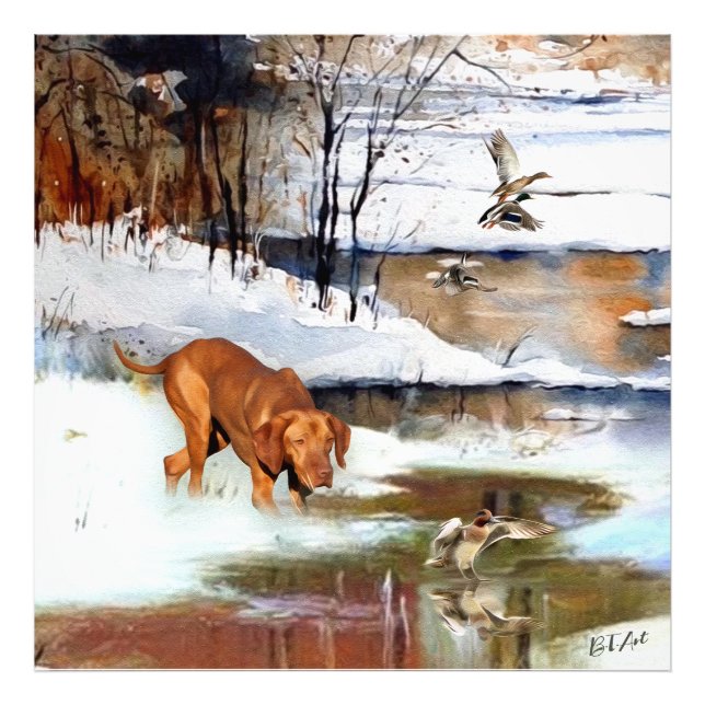 Ungarisch Vizsla, Jagd auf Enten im Winter Fotodruck (Vorne)