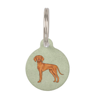 Ungarisch Vizsla Niedlich Pointer Dog Stehend Gree Haustiermarke