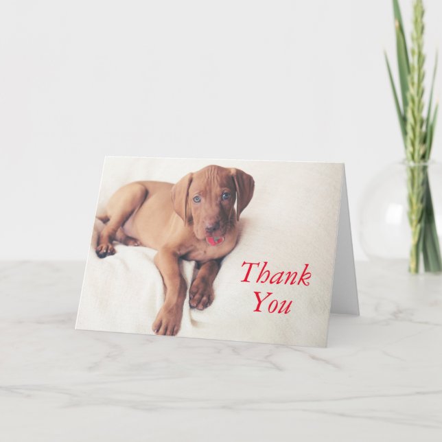 Ungarisch Vizsla Puppy Dankeskarte (Vorderseite)