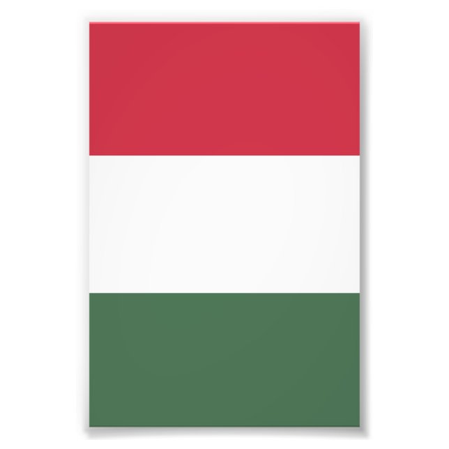 Ungarische Flagge Fotodruck (Vorne)