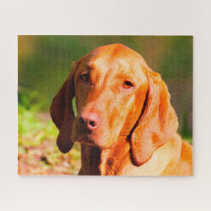 Ungarische Vizla Hund Puzzles.