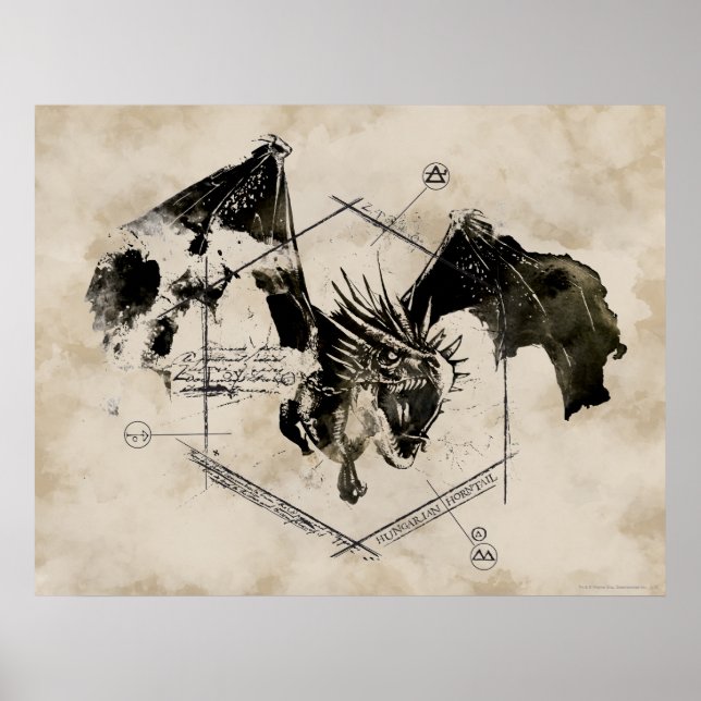 Ungarischer Hornschwanzdrache Poster (Vorne)