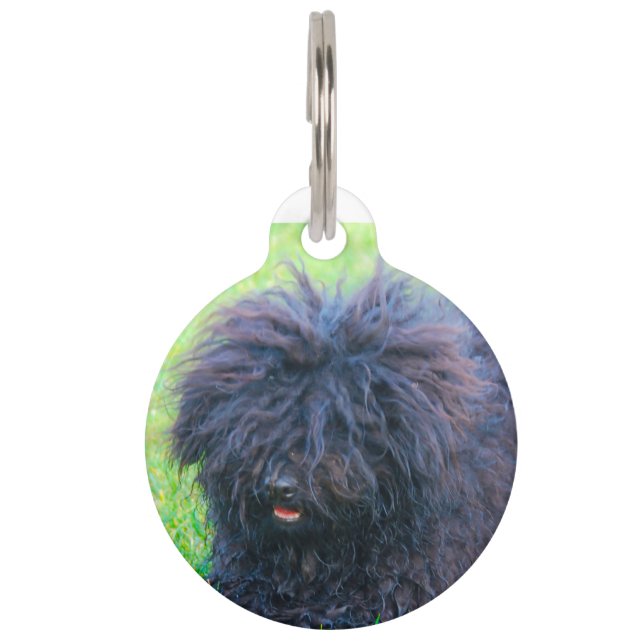 Ungarischer Puli Hund. Haustiermarke (Vorderseite)