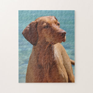 Ungarischer Vizsla-Hund
