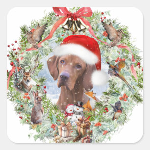 Ungarischer Weihnachtskranz Vizsla Quadratischer Aufkleber