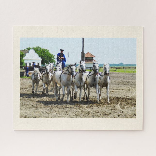Ungarisches Pferd (Horizontal)