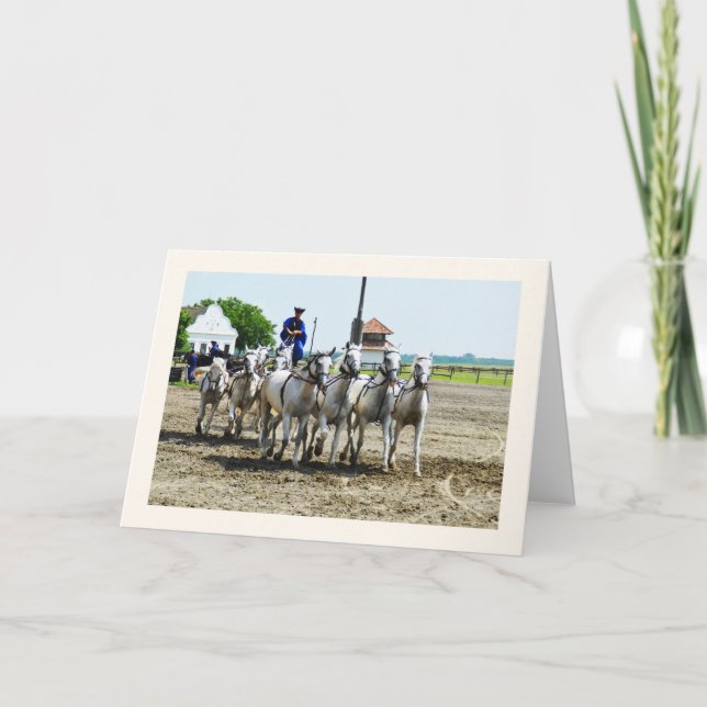 Ungarisches Pferd Karte (Vorderseite)