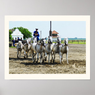 Ungarisches Reiten Poster