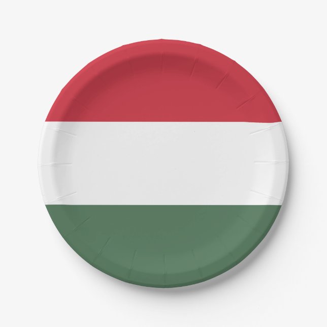 Ungarn-Flagge Pappteller (Vorderseite)