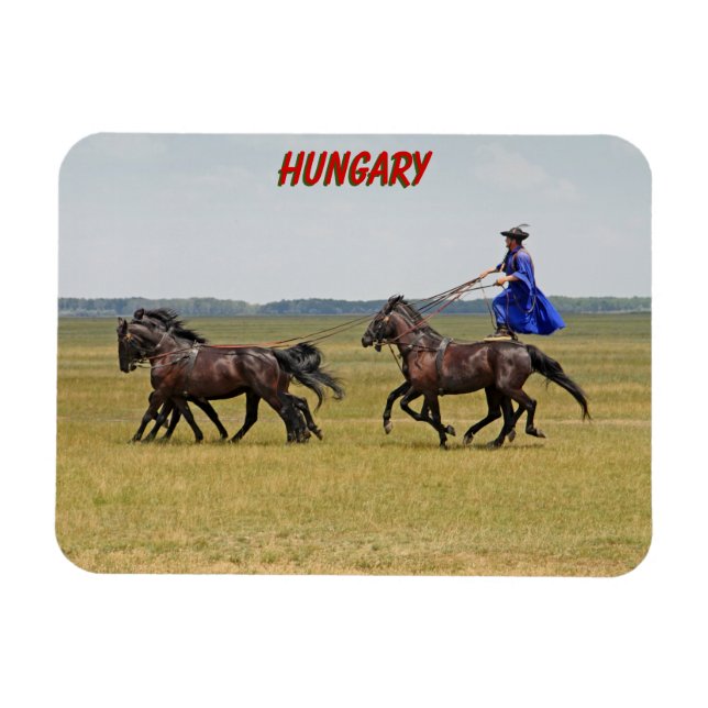 Ungarn - Pferde Magnet (Horizontal)