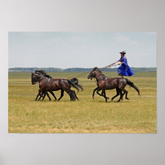 Ungarn - Pferde Poster (Vorne)