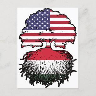 Ungarn Ungar USA Vereinigte Staaten Postkarte