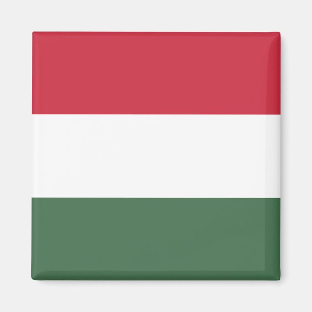 Ungarnflagge Magnet (Vorne)