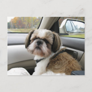 Ungeduldiger Fluggast Postkarte