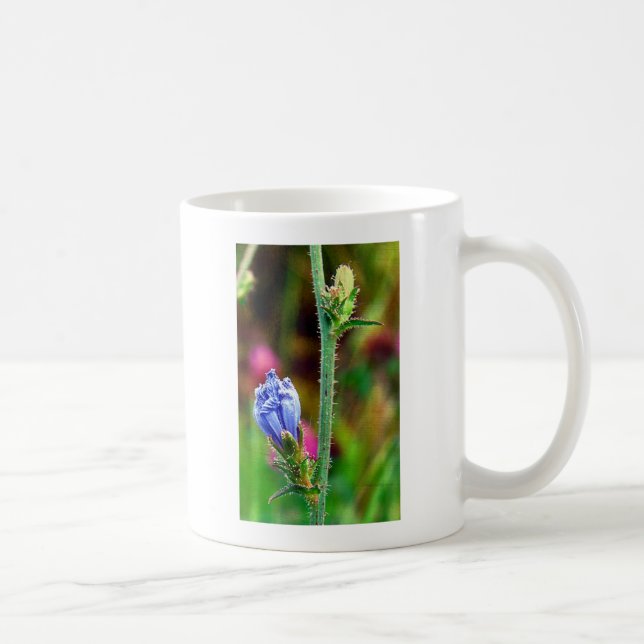 Ungeöffnete Chicorée Kaffeetasse (Rechts)