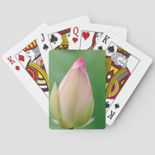 Ungeöffnete Seerosenknolle, Durban Botanical Spielkarten