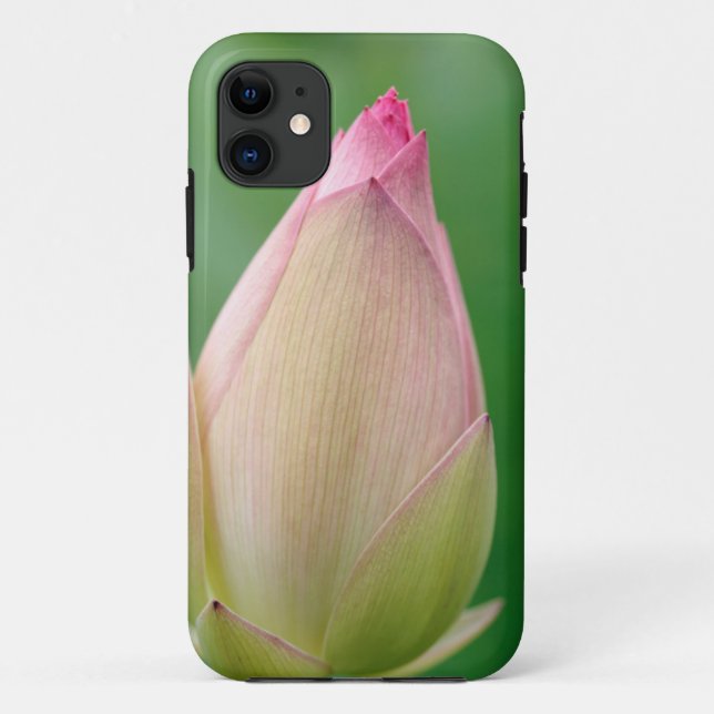 Ungeöffnetes Wasserlily Bulb, botanischer Durban Case-Mate iPhone Hülle (Rückseite)