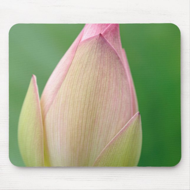 Ungeöffnetes Wasserlily Bulb, botanischer Durban Mousepad (Vorne)