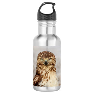 Ungetarnter Rotschwanzfalken auf dem Boden Edelstahlflasche