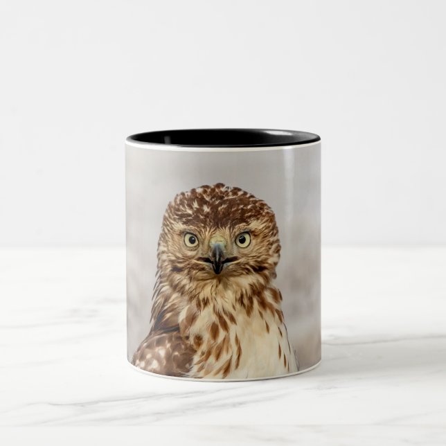 Ungetarnter Rotschwanzfalken auf dem Boden Zweifarbige Tasse (Mittel)