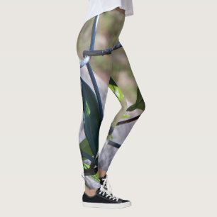 Ungewöhnliche Leggings mit Kettenglieder und Rebst