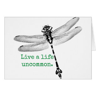 Ungewöhnliche Libelle