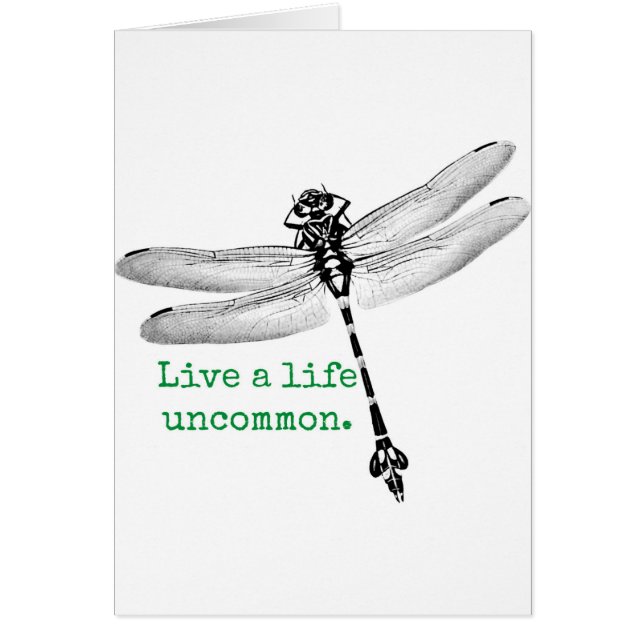 Ungewöhnliche Libelle (Vorne)