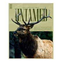 Ungezähmtes Banff National Park-Elch-Poster