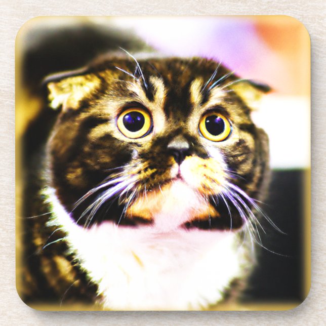 Unglaublich witzig Foto einer lustigen Katze. Jetz Getränkeuntersetzer (Vorderseite)