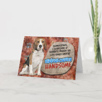 Unglaublich witzig Gedanke aus Ihrem Beagle Geburt