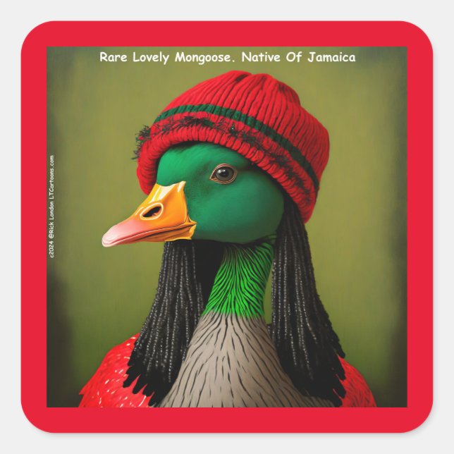 Unglaublich witzig jamaikanische Mongoose Kanadisc Quadratischer Aufkleber (Vorderseite)
