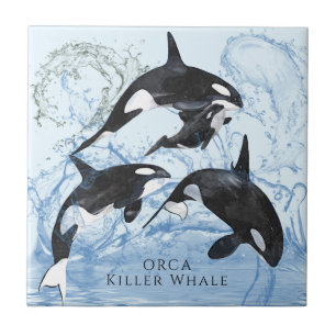 Unglaubliche Schwarz-Weiß-Wasserfarben-Orcas Fliese