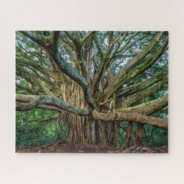 Unglaublicher Banyan Tree (Horizontal)