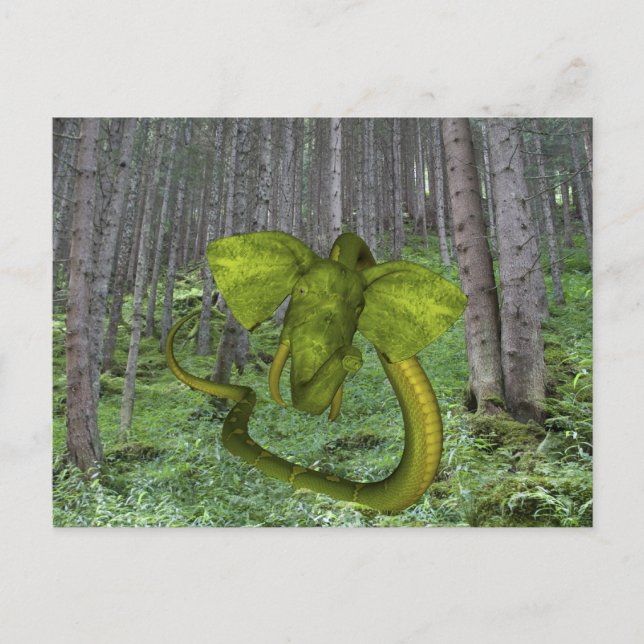 Unglaublicher Elephant Python Postkarte (Vorderseite)