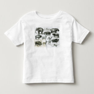 Ungulata oder Huftiere Kleinkind T-shirt