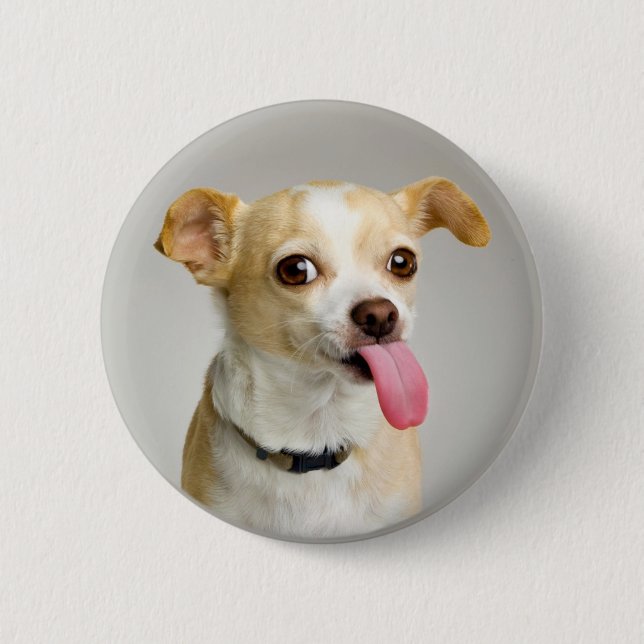 Unhöflicher Chihuahua-Knopf Button (Vorderseite)