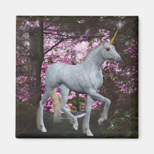 Unicorne Dans Le Magnet Des Imaginaires Forestiers