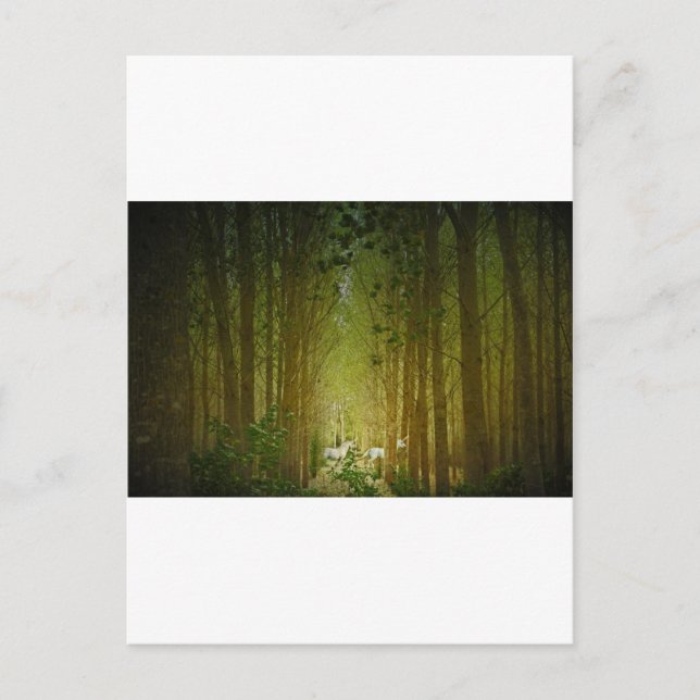 Unicorns Postkarte (Vorderseite)