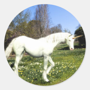 Unicorns Runder Aufkleber