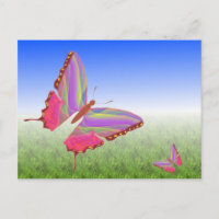 Unique Butterfly Postcard