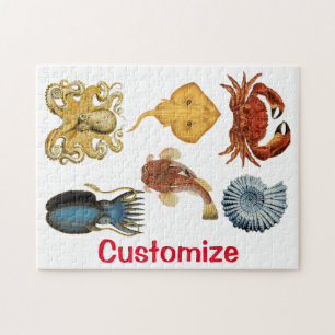 Unique Sea Beings Assortiment Thunder_Cove