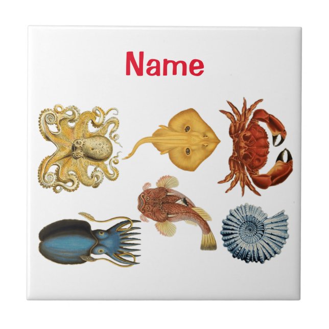Unique Sea Beings Assortiment Thunder_Cove Fliese (Vorderseite)