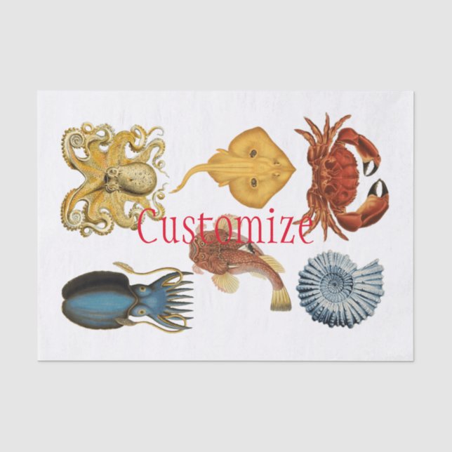 Unique Sea Beings Assortiment Thunder_Cove Seidenpapier (Vorderseite)