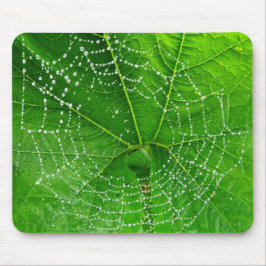 Unique Spiders Web Foto Designed Computer Mousepad