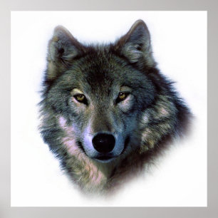 Unique Wolf Art Motivational Freedom Poster