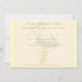 Unisex Baby Showeinladung - Junge oder Mädchen Einladung