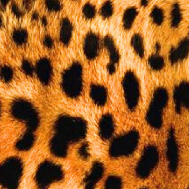 Unisex Sweatshirt (Von Creator hochgeladen)