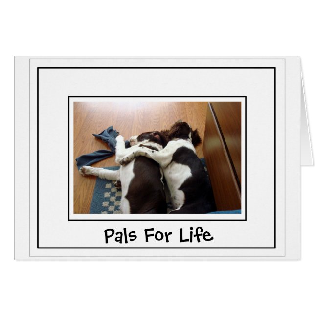 Unité (Devant horizontal)